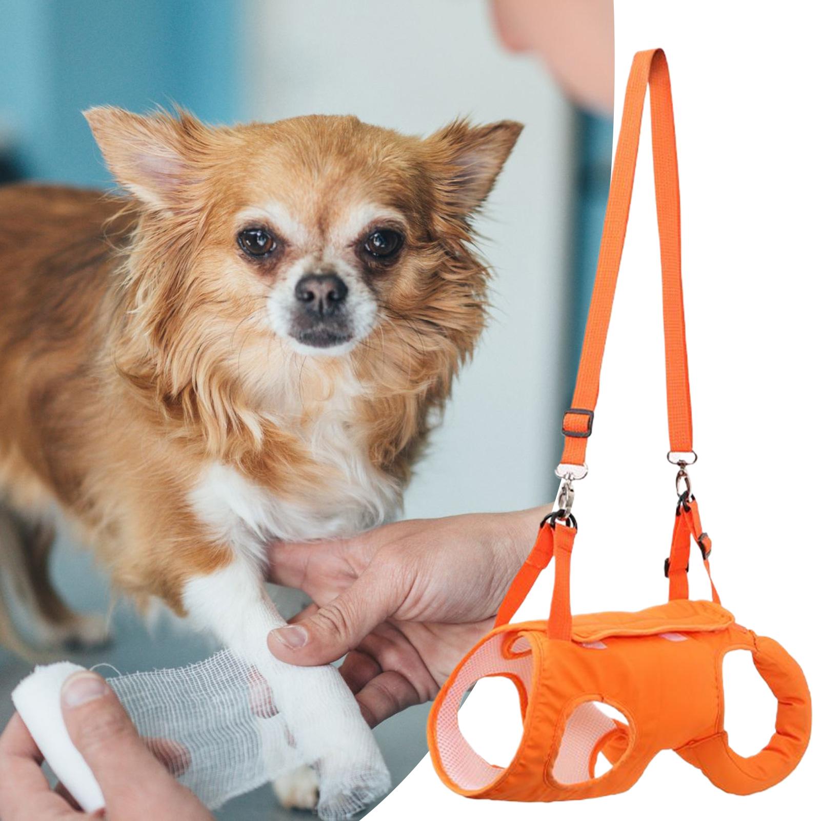 Große Hundetragetasche, Hundet – Ladder Toss Set Bewertung und Preis